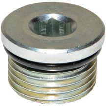 Load image into Gallery viewer, Hydronit E70100004 3/4" UNF Plug For Cavities