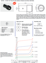 Load image into Gallery viewer, Hydronit SUV01F Start-up valve for single phase motors For Flow 5-7L/Min 1/4" BSPP