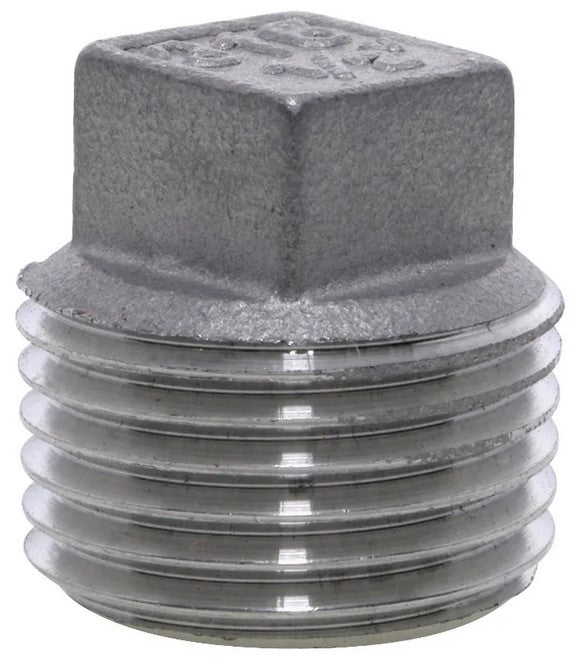 BSPT Male Square Head Plug 150lb 316 Stainless Steel Pipe Fitting