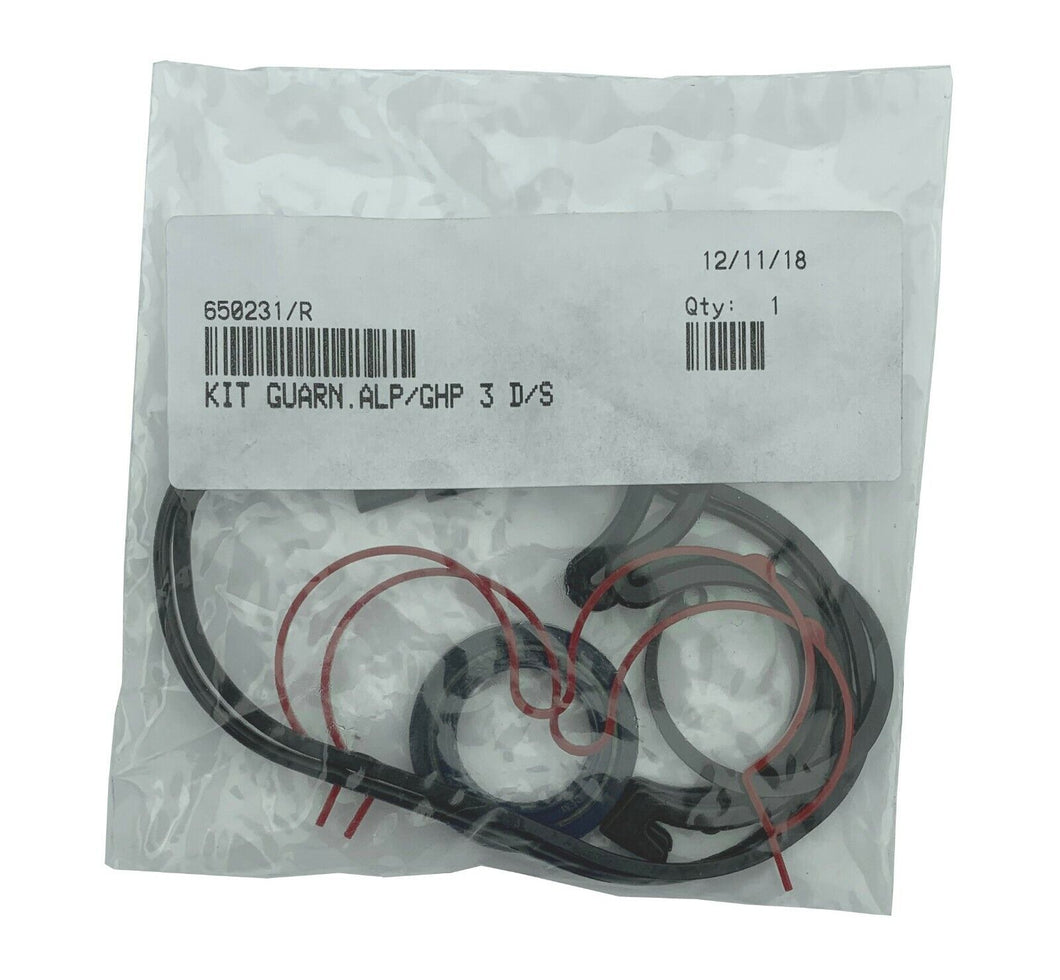 650231/R - Marzocchi Seal Kit For ALP GHP3 Gear Pump 5063661