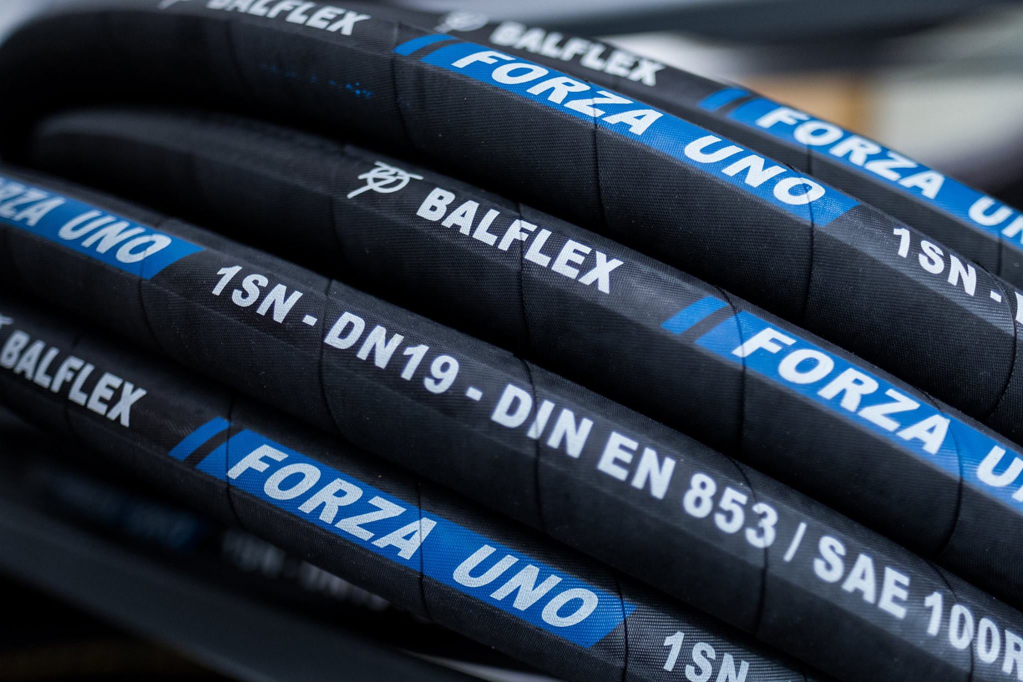 Balflex Forza Uno 1SN 100R1AT Hydraulic Hose USC Hydraulics